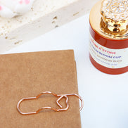 Bloom Wellness Box