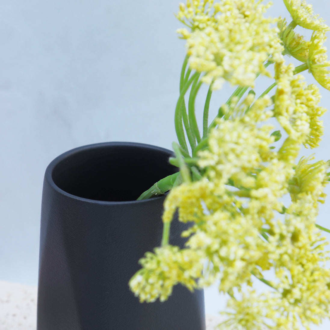 Sanctuary Wellness Box