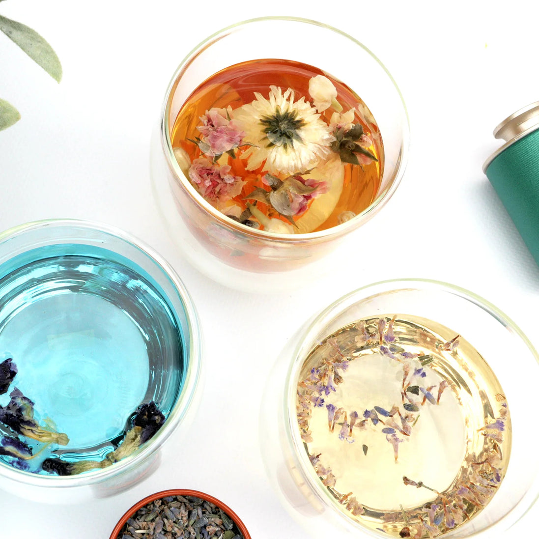 Blooming flower tea in glass cups with blue butterfly pea and herbal infusions