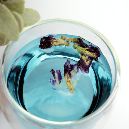 Butterfly pea flower tea steeping in glass teacup with vibrant blue colour