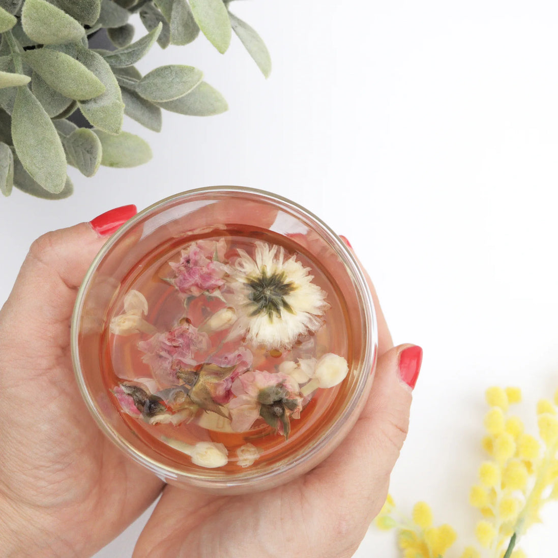 Hands holding glass cup of herbal tea with pink and white dried flowers