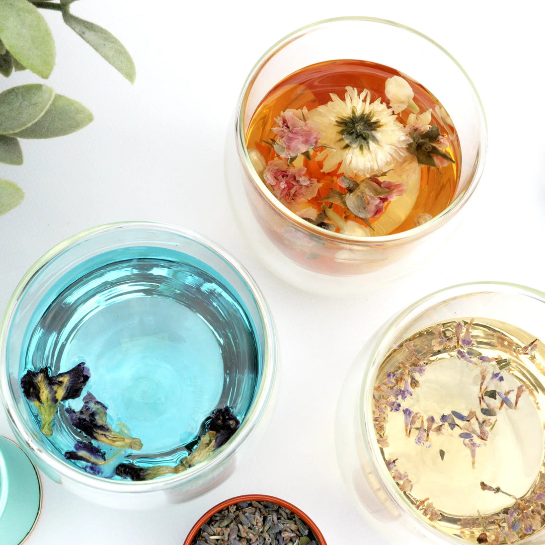 Three herbal tea glasses with dried flowers in blue, orange and clear infusions overhead view