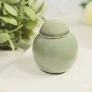 Jade green ceramic incense jar with dome lid on white surface with green foliage