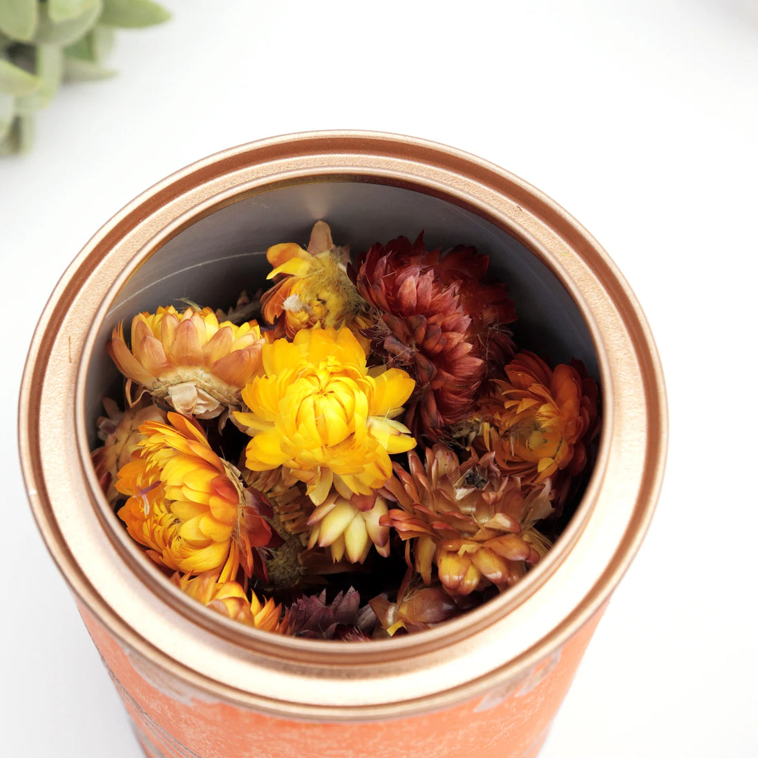 Dried flowers in rose gold tea tin with yellow and burgundy strawflowers